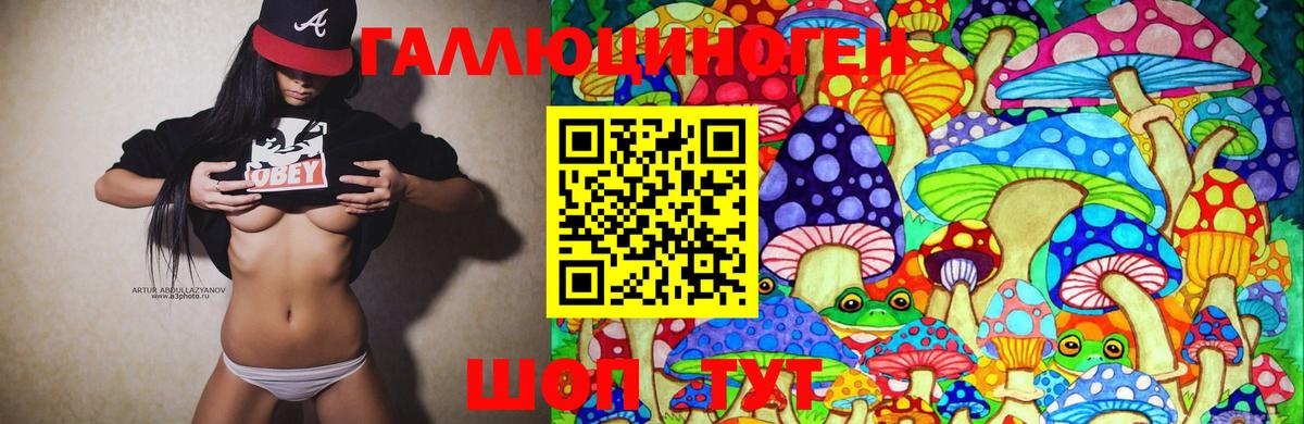Галлюциногенные грибы Cubensis Саратов